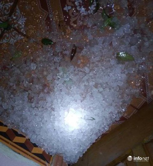 Thanh Hóa: Bất ngờ có mưa đá trái mùa, nhiều nhà dân tốc mái, cây đổ ngổn ngang - ảnh 1