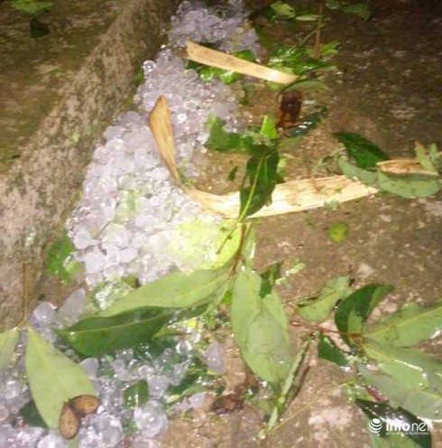 Thanh Hóa: Bất ngờ có mưa đá trái mùa, nhiều nhà dân tốc mái, cây đổ ngổn ngang - ảnh 2