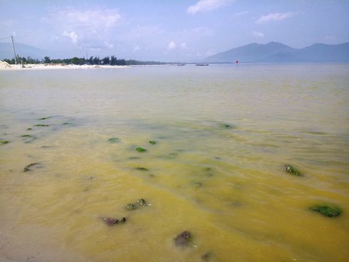 Huế: Dải nước biển màu vàng lớn xuất hiện gần cảng Chân Mây - ảnh 2