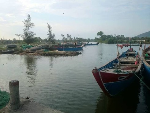 Huế: Cá chết từng đàn gần khu vực xuất hiện dải nước màu vàng - ảnh 4