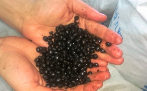 Hơn nửa tạ cà phê làm từ đậu nành rang cháy chở về Nghệ An tiêu thụ - ảnh 1