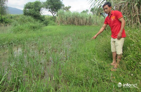 Đắk Lắk: Dân chặn xe của Nhà máy mì xả thải