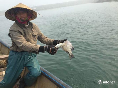 Sự cố môi trường biển miền Trung, 1 năm nhìn lại - ảnh 1