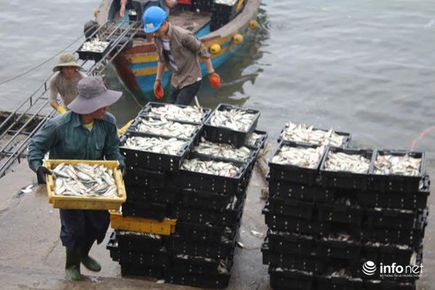 Hà Tĩnh: Bồi thường sự cố biển đúng đối tượng, xử nghiêm những kẻ quá khích! - ảnh 2