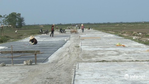 Hà Tĩnh: Diêm dân Kỳ Hà vững tin vào vụ muối mới - ảnh 1