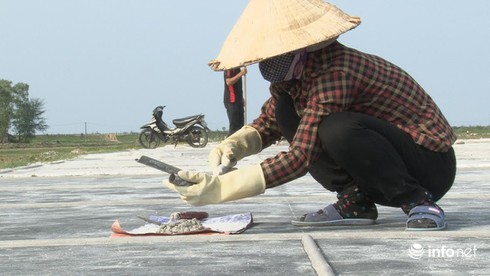 Hà Tĩnh: Diêm dân Kỳ Hà vững tin vào vụ muối mới - ảnh 3