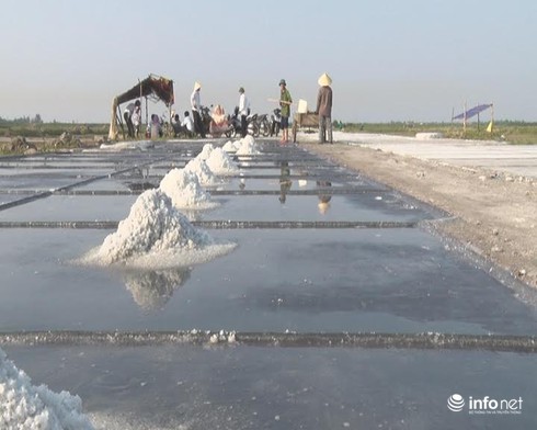 Hà Tĩnh: Diêm dân Kỳ Hà vững tin vào vụ muối mới - ảnh 4