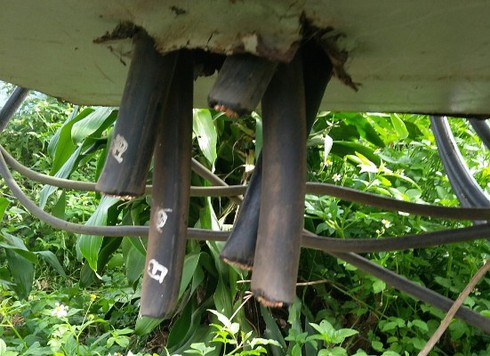 Tên trộm “siêu lì” cắt dây cáp tại trạm biến áp đang hoạt động - ảnh 2