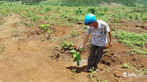 Đắk Nông: Sai phạm ở Dự án 162 ha rừng của Công ty gia đình cựu PGĐ CA tỉnh - ảnh 2