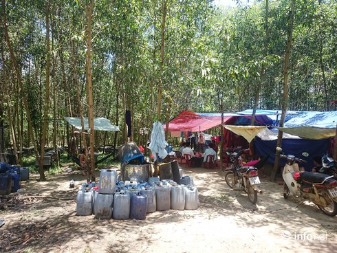 Huế: Đến nuôi ong, dân phải nộp phí “hỗ trợ cho xã” - ảnh 1