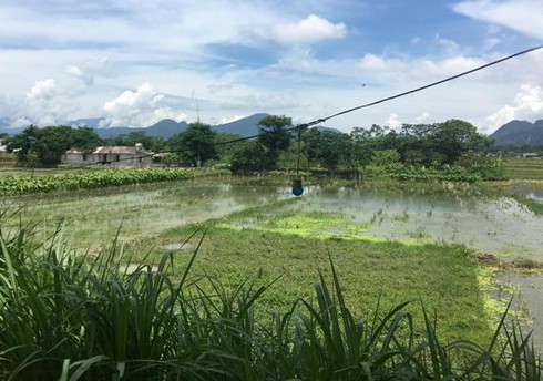 Phát hiện thi thể phụ nữ chết bất thường dưới ao - ảnh 1