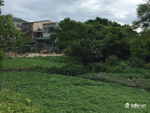 Hà Tĩnh: Ô nhiễm nghiêm trọng, lòng hồ Cầu Khoai chỉ còn bằng ... con lạch nhỏ - ảnh 7