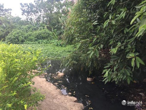 Hà Tĩnh: Ô nhiễm nghiêm trọng, lòng hồ Cầu Khoai chỉ còn bằng ... con lạch nhỏ - ảnh 8