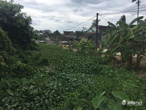 Hà Tĩnh: Ô nhiễm nghiêm trọng, lòng hồ Cầu Khoai chỉ còn bằng ... con lạch nhỏ - ảnh 10