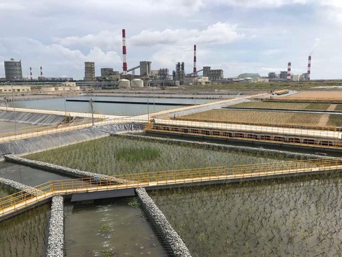 Formosa hoàn thành hệ thống hồ sinh học 10 ha