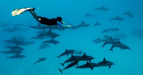 Cuộc sống và hoạt động của Lực lượng 'đặc công nước' Đức - ảnh 5