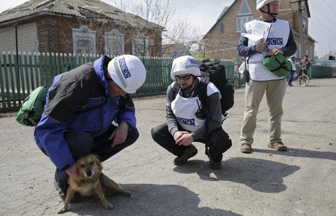 Ly khai Ukraine muốn OSCE kiểm soát quân Kiev trong Ngày Chiến thắng - ảnh 1