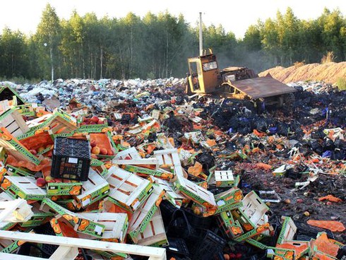 Nga tiêu hủy 350 tấn thực phẩm từ phương Tây, dân chúng bức xúc - ảnh 1