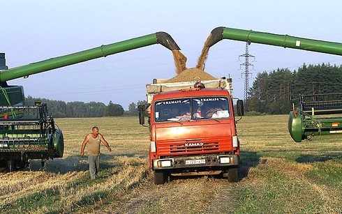 Cuộc chiến lúa mì: Mỹ yếu thế, Nga ngày càng mạnh mẽ - ảnh 1