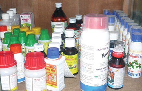 Cùng quẫn vì tình - tiền, nhiều bạn trẻ tìm đến thuốc trừ sâu - ảnh 2