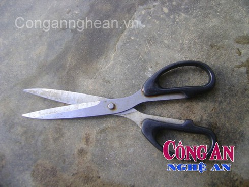 Đâm chết cháu họ rồi về ngủ như không - ảnh 2