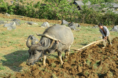 Những trẻ sau sinh