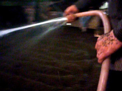 Lâm Đồng: Kinh hoàng trà