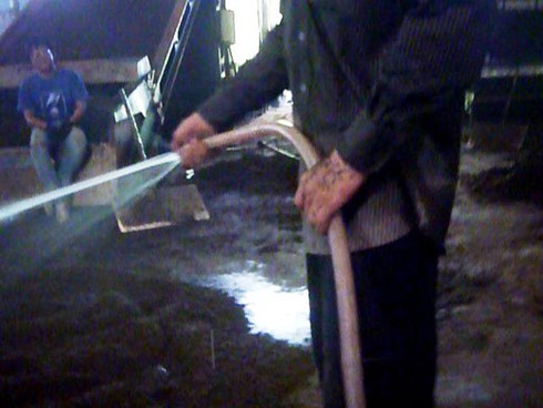 Lâm Đồng: Kinh hoàng trà