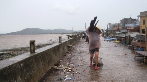 Thanh Hóa: Đổ xô đi săn “lộc biển” sau bão số 6 - ảnh 1