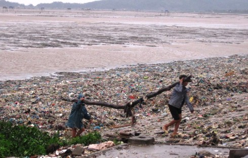 Thanh Hóa: Đổ xô đi săn “lộc biển” sau bão số 6 - ảnh 11
