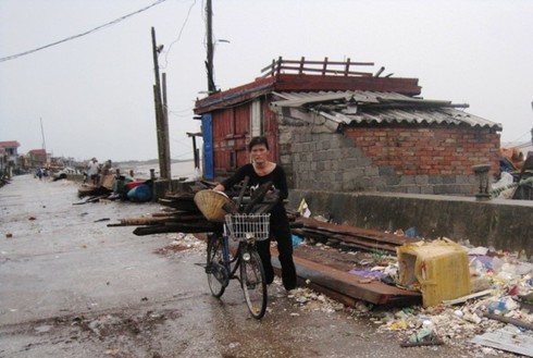 Thanh Hóa: Đổ xô đi săn “lộc biển” sau bão số 6 - ảnh 2