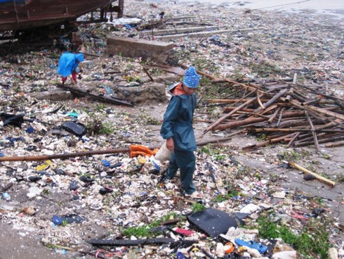 Thanh Hóa: Đổ xô đi săn “lộc biển” sau bão số 6 - ảnh 10