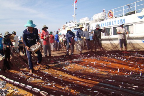 Chuyện ngư dân bám biển Trường Sa, Hoàng Sa - ảnh 1