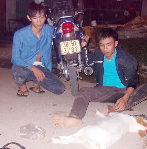 2 đối tượng trộm chó manh động dùng súng kích điện chống trả - ảnh 1