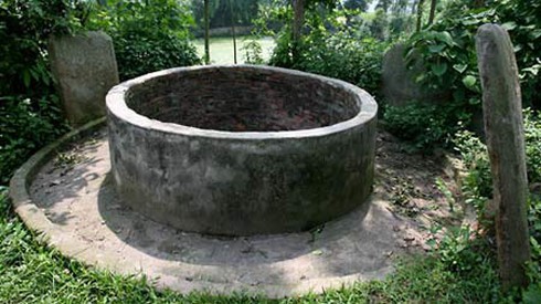 Đang hái rau bỗng nghe tiếng khua dưới giếng - ảnh 1