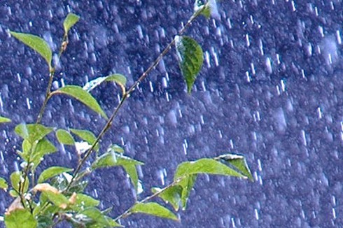 Dự báo thời tiết đêm 20 và ngày 21/8 - ảnh 1