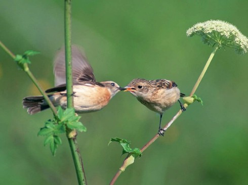 Dự báo thời tiết mới nhất ngày 23/8 - ảnh 1
