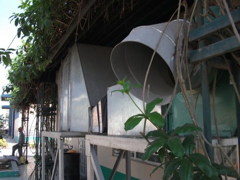2 can phạm giả ốm,