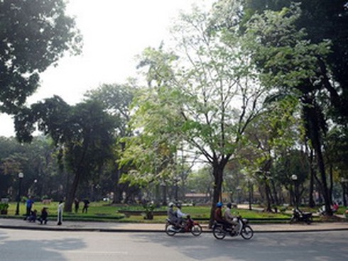 Dự báo thời tiết ngày và đêm 29/8: Toàn miền Bắc nắng nhẹ, gió mát - ảnh 1