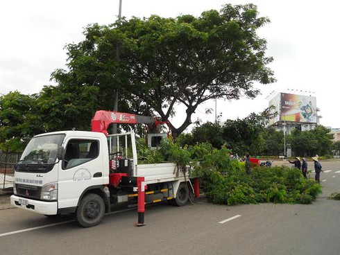 Bình Định: Tàu thuyền giằng néo tránh bão số 8 - ảnh 2