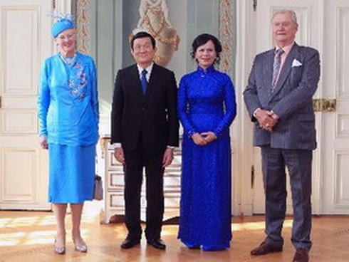 Thắt chặt, thúc đẩy hợp tác với Hungary và Đan Mạch - ảnh 1