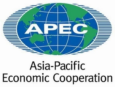 Việt Nam sẽ đóng góp tích cực cho Hội nghị APEC 21 - ảnh 1