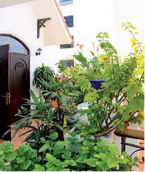 Ngôi nhà triệu đô của nghệ sỹ saxophone Trần Mạnh Tuấn - ảnh 11