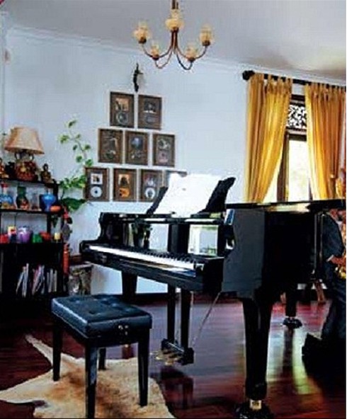 Ngôi nhà triệu đô của nghệ sỹ saxophone Trần Mạnh Tuấn - ảnh 5