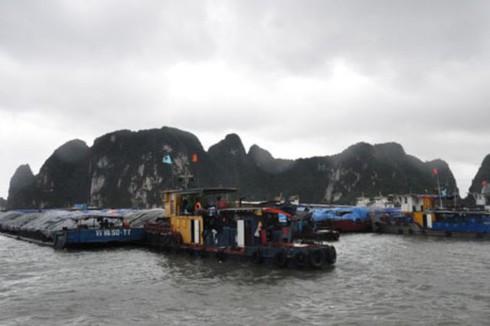 Thông tin, hình ảnh mới nhất của bão số 14 tàn phá tại Quảng Ninh - ảnh 6