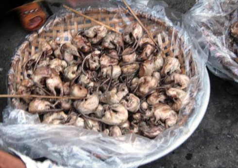 Mùa này, ai về ăn thịt chuột Tú Đôi… - ảnh 3