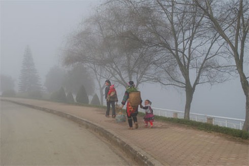 Dự báo thời tiết ngày 25/11: Miền Bắc có nơi 13 độ C - ảnh 1