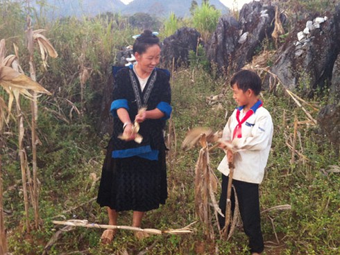 Ở nơi đá vẫn lớn lên - ảnh 1