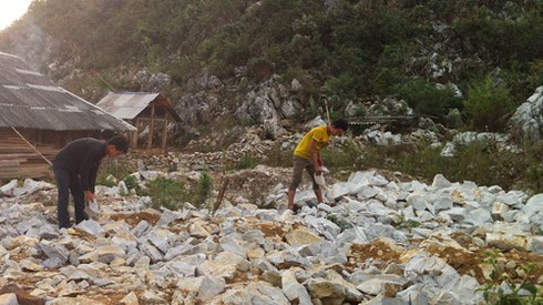 Ở nơi đá vẫn lớn lên - ảnh 3