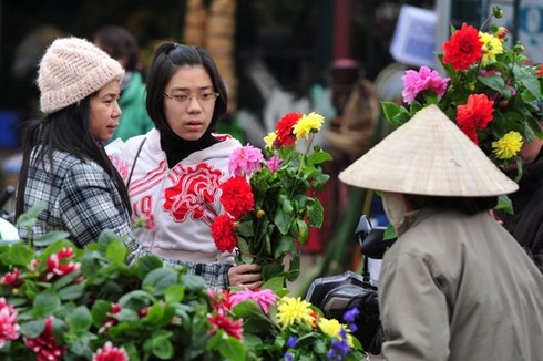 Thời tiết Tết Giáp Ngọ 2014 dự báo khá đẹp - ảnh 1